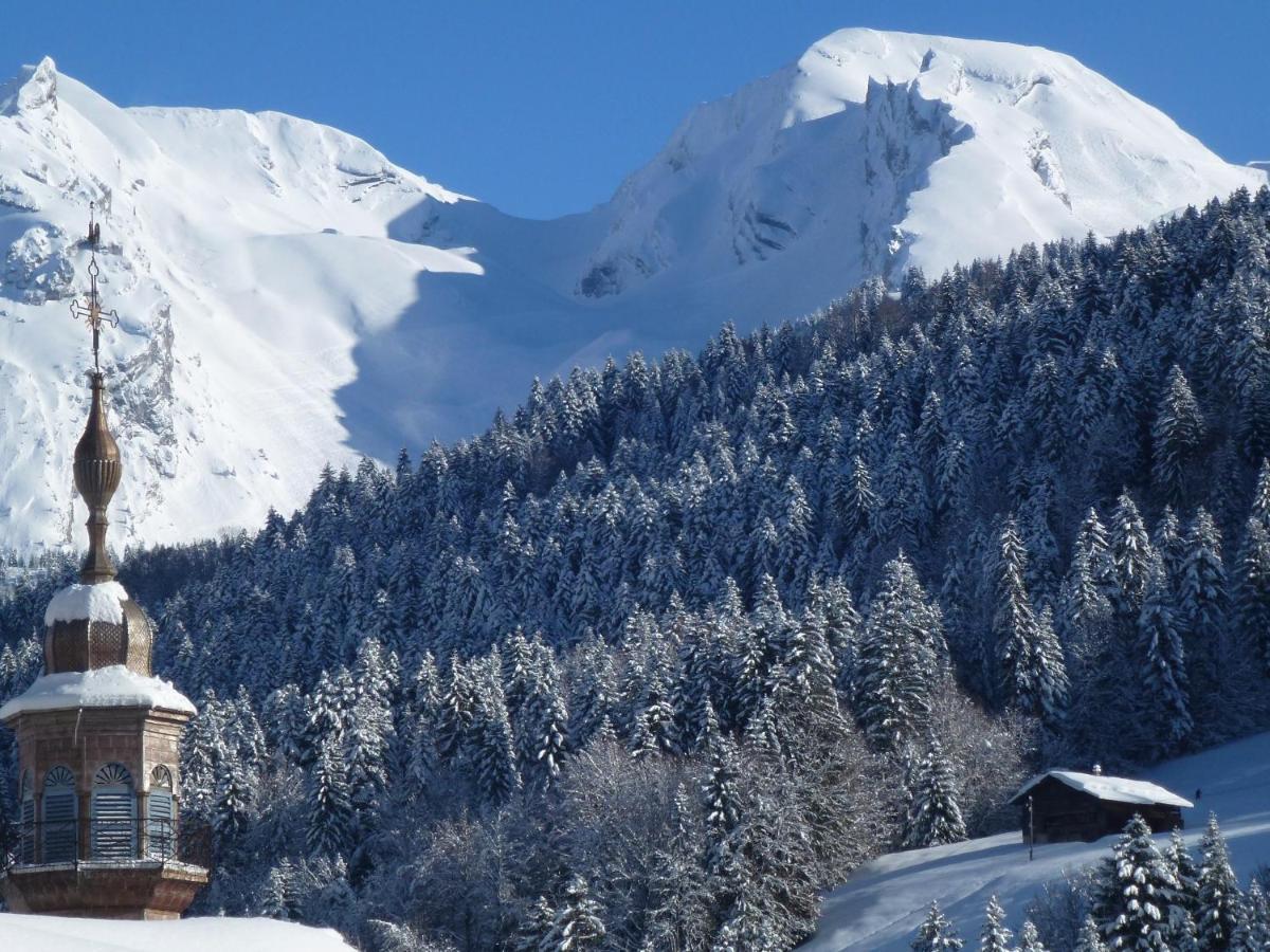 "Chalet Les Aravis" Chalet Et Appartements Le Grand-Bornand Exteriör bild