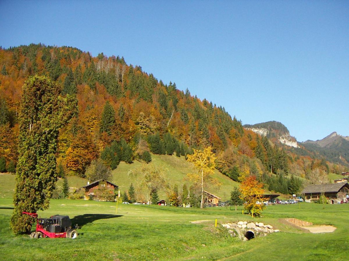 "Chalet Les Aravis" Chalet Et Appartements Le Grand-Bornand Exteriör bild